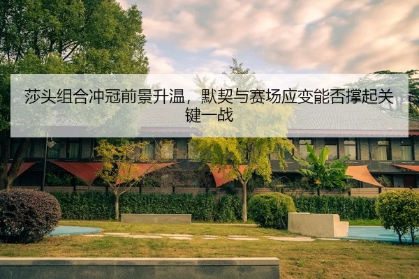 莎头组合冲冠前景升温，默契与赛场应变能否撑起关键一战